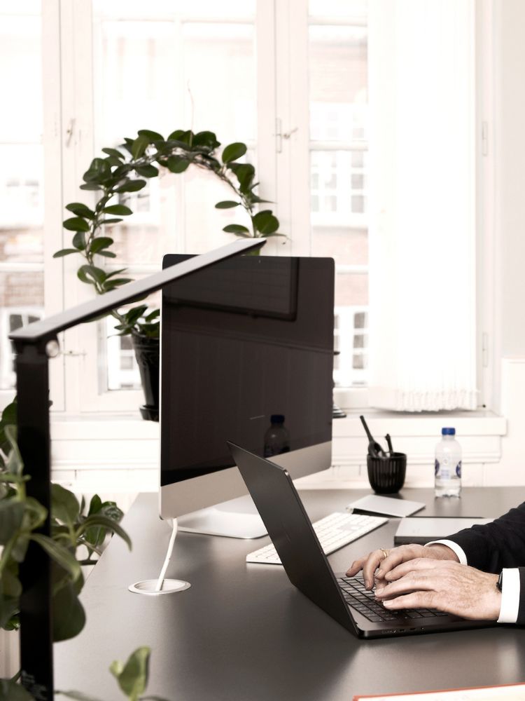 bestyrelsesarbejdet vitus